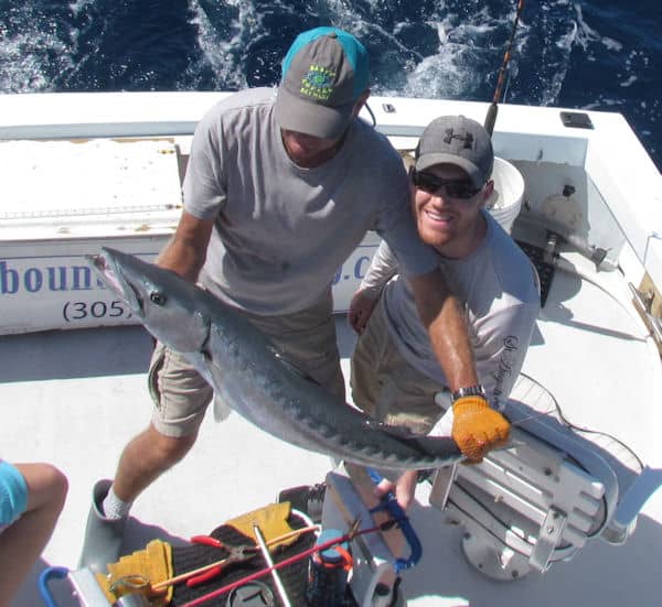 Barracuda caught and released on fishing trip with Southbound Sportfishing in Key West