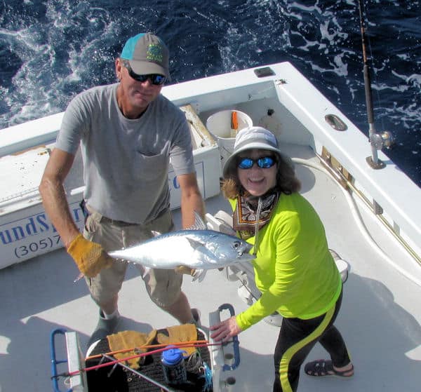 Big Bonito caught and released in Key West on the reef