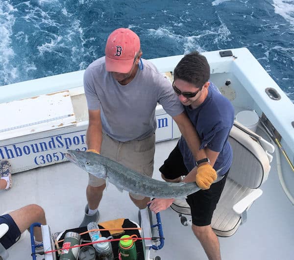 Barracuda caught and released fun fishing on the reef off Key West Florida