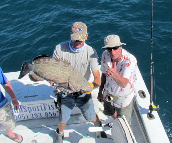 Grouper caught and released in Key West Fishing on charter boat Southbound