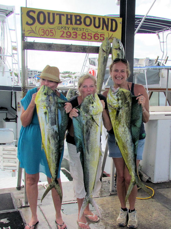 Dolphin or Mahi caugth in Key West fishing on charter boat Southboun