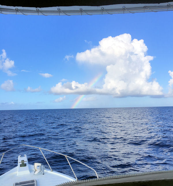 Chasing a Rainbow in Key West fishing on charter boat Southbound