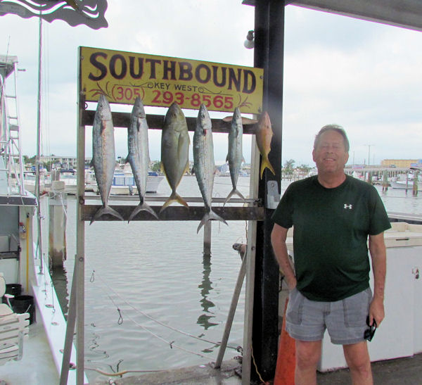 Mackerels, Yellowtails and a Yellow Jack caught in Key West fishing on charter boat Southbound