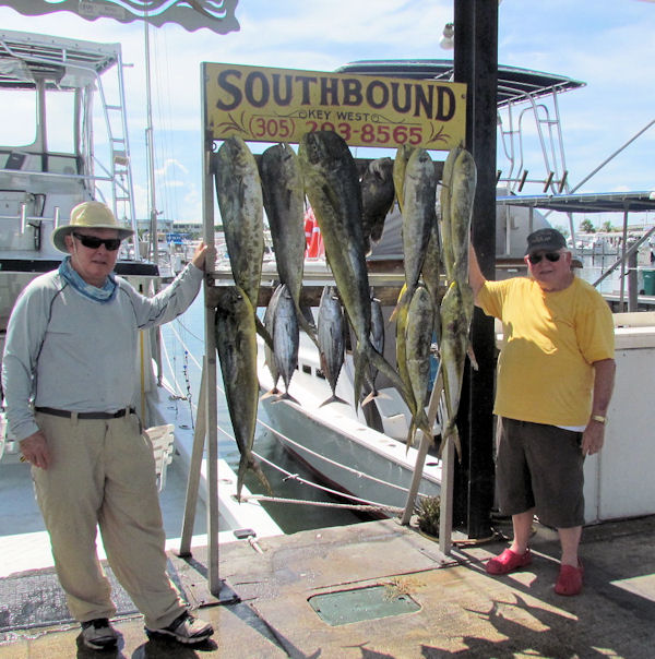 Good catch of Dolphin in Key West florida fishing on charter boat Southbound