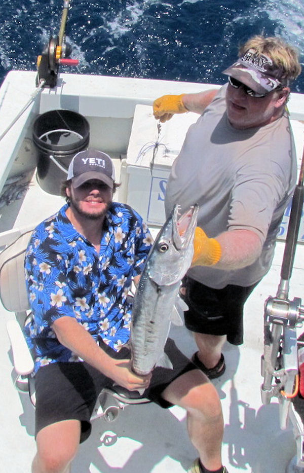 Barracuda caught and released in Key West fisihing on charter boat Southbound