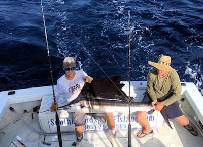 Sailfish caught and released in Key West fishing on Key West charter boat Southbound