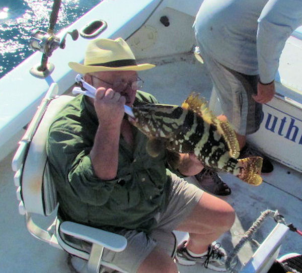 Nassau Grouper caught and released in Key West fishing on charter boat Southbound
