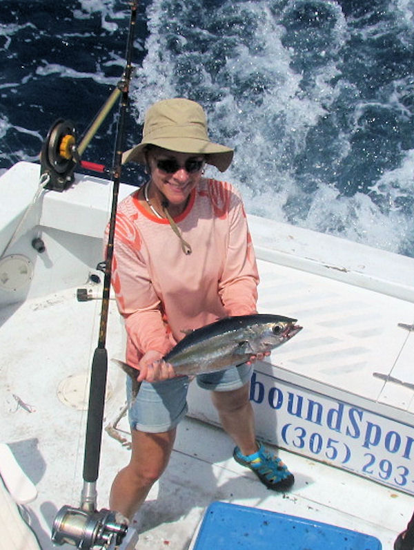 Blackfin Tuna Caught in Key West fishing on charter Boat Southbound