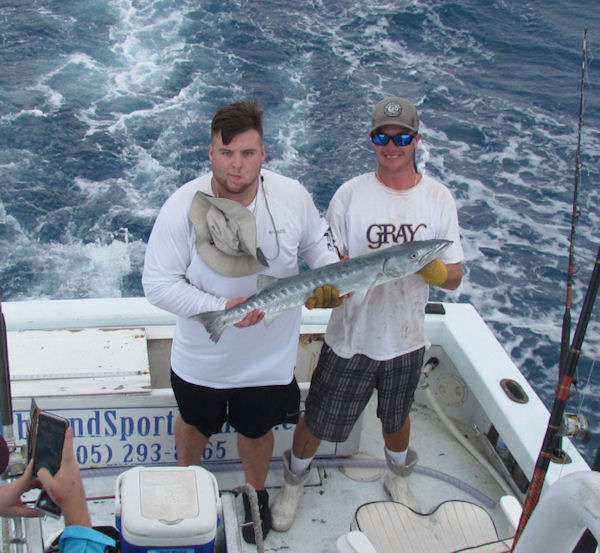 Barracuda caught in Key West fishing on Key West charter boat Southbound