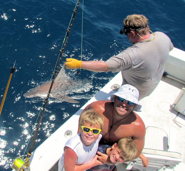 Carribean Reef Shark caught and released in Key West fisihing on charter boat Southbound