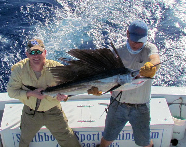 Sailfish caught and released in Key West Fishing on charter boat Southbound