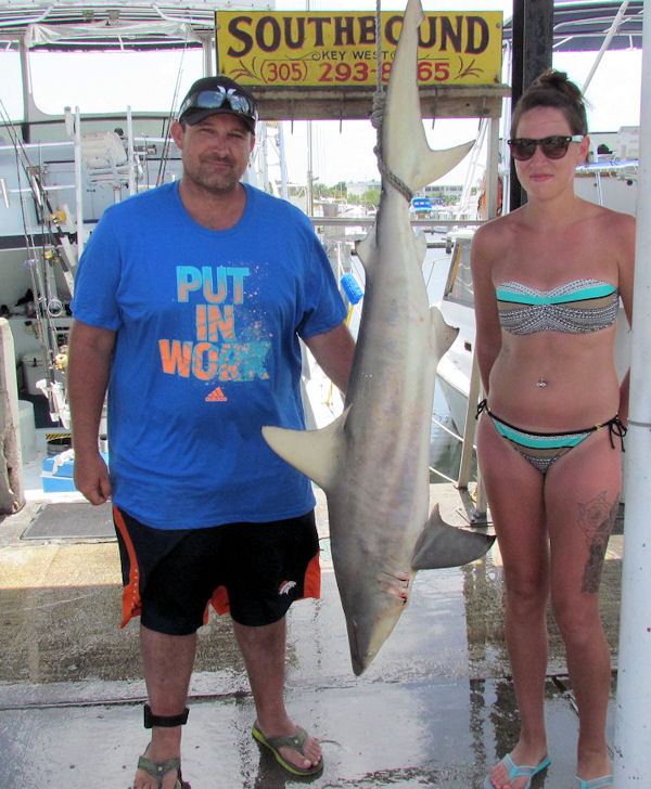 Shark Caught on Charter boat Southbound fisihing in Key West