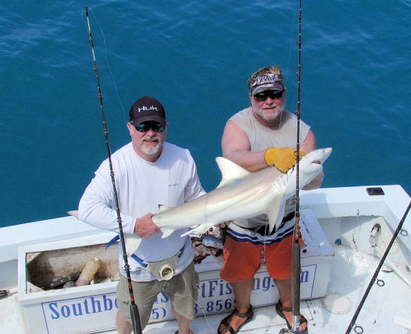 Black Tip Shark caugth in Key West fishing on charter boat Southbound