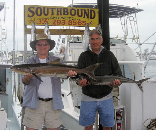 Cobia and a king mackerel caught fishing on charter boat Southbound in Key West florida