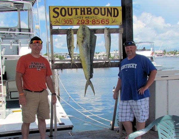  Dolphin caught on the Charter Boat Southbound while fishing Key West Waters