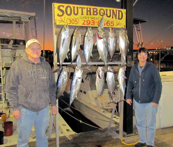 Black Fin Tuna and Bonitos caught in Key West fishing on Charter boat Southbound
