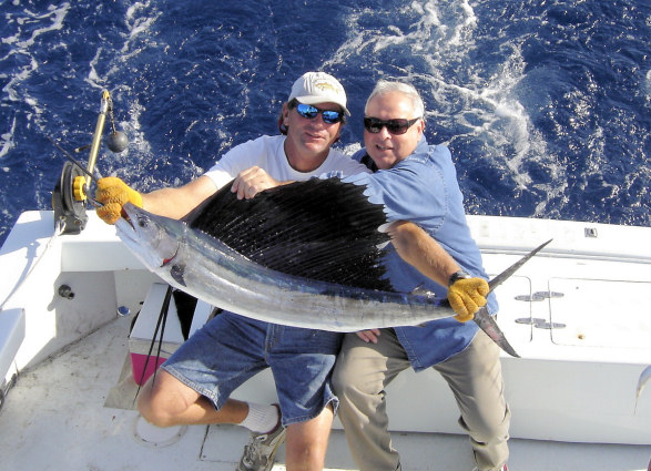 Sailfish caught fishing on the charter boat Southbound in Key West, Florida