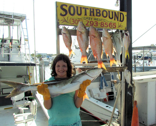 Cobia  caught in Key West fishing on charter boat Southbound