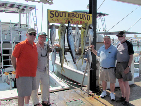 Bonitos, a Wahoo and a Nice Dolphin caught in Key West fishing on charter boat Southbound