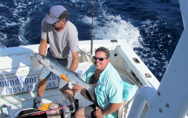 Barracuda caught  and released in Key West fishing on charter boat Southbound