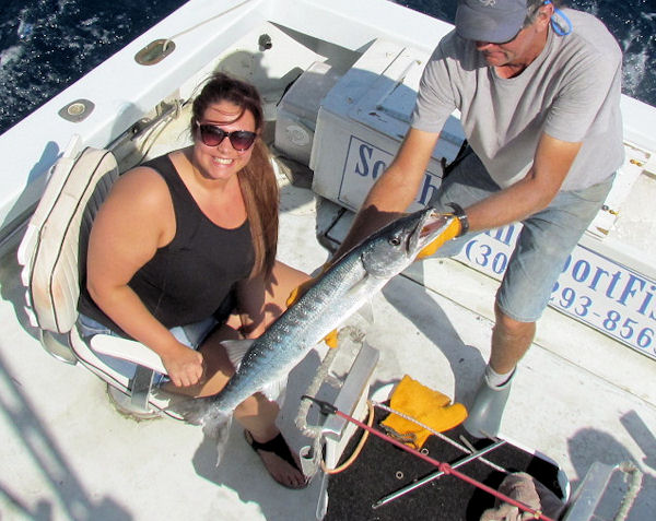 Barracuda caught  and released in Key West fishing on charter boat Southbound
