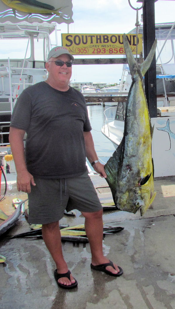 39 lb Dolphin caught in Key West fishing on Key West charter fishing boat Southboun