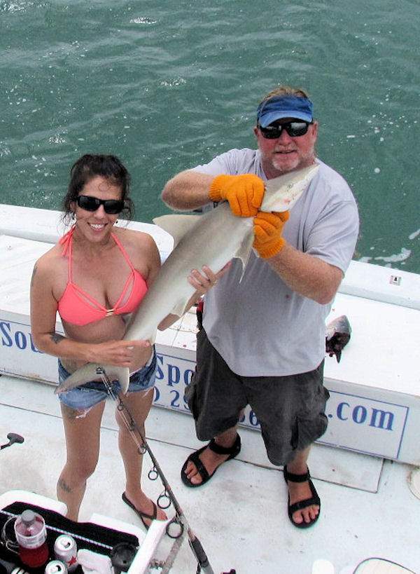 Black Nose Shark caught in Key West fishing on charter boat Southbound