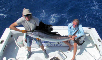 Sailfish caught and released in Key West fishing on charter boat Southbound