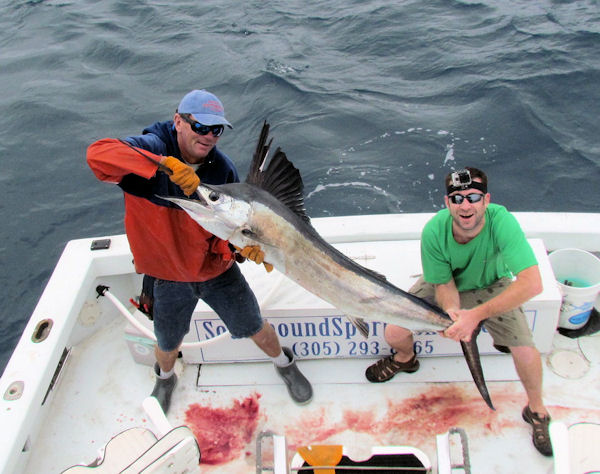 Sailfish caught  and released in Key West fishing on Charter Boat Southbound
