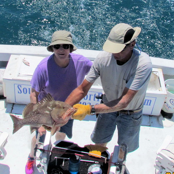 Keeper Red Grouper caught in Key West fishing on charter boat Southbound
