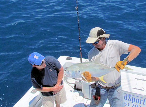 Cravalle Jack caught and released in Key West fishing on charter boat Southbound