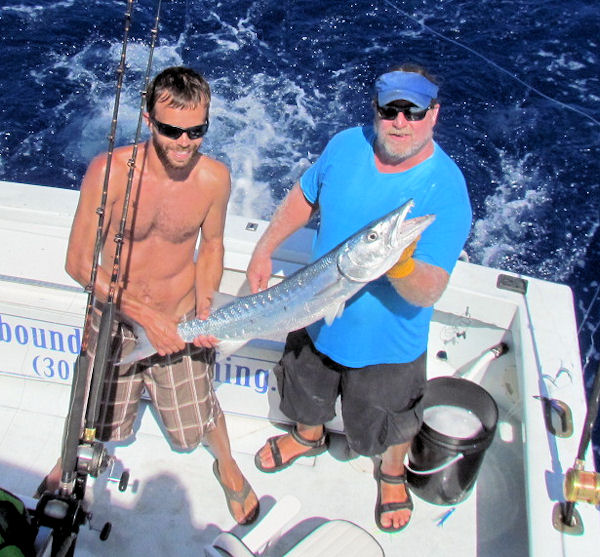 Barracuda caught and released on charter boat Southbound while fishing Key West Florida