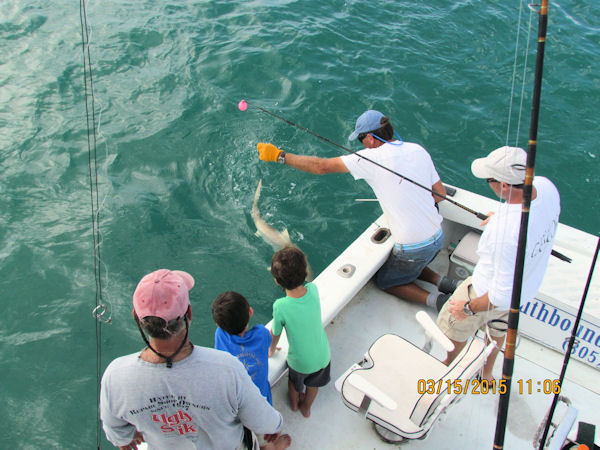 Shark Caught in Key West fishing on charter Boat Southbound