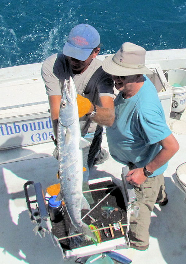 Big Barracuda  caught and in Key West Fishing on charter boat Southbound