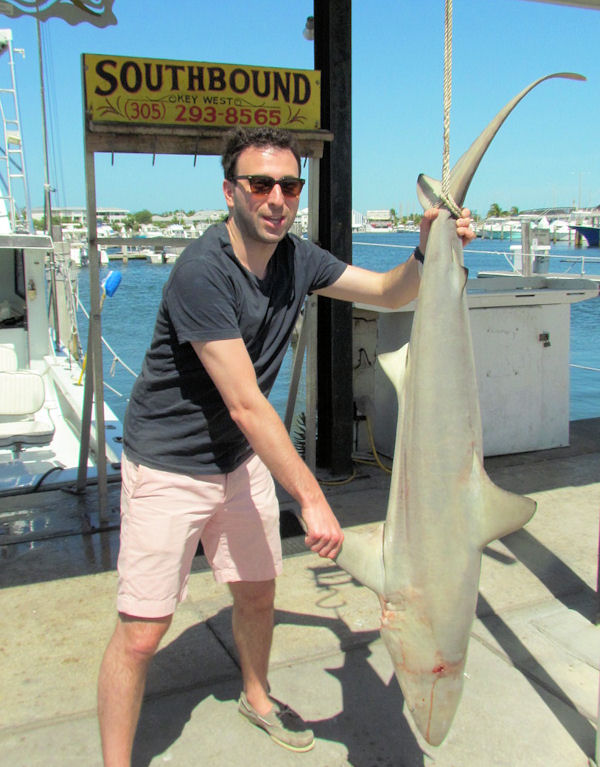 Shark Caught fishing in Key West on charter Boat Southbound