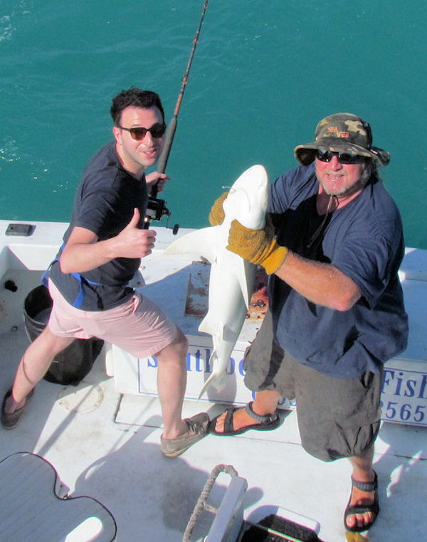 Shark Caught and Released fishing in Key West on charter Boat Southbound