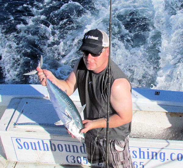 Bonito caught and released in Key West fishing on charter boat Southbound
