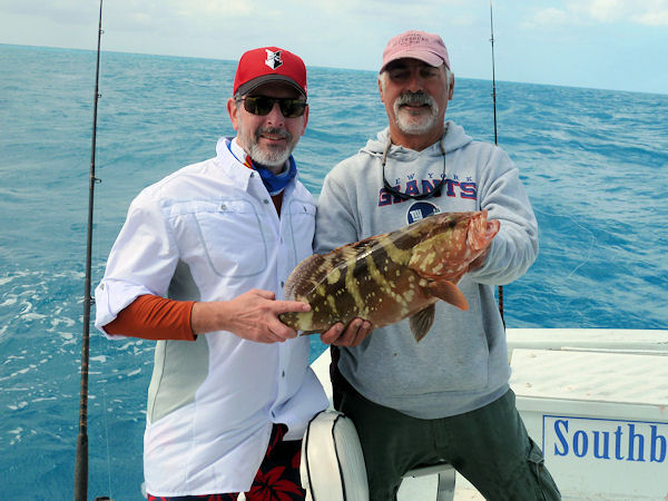 Naussa Grouper caught and released in Key West fishing on charter boat Southbound