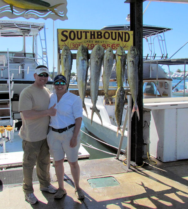 Good catch ofDolphin caught fishing Key West on charter boat Southbound
