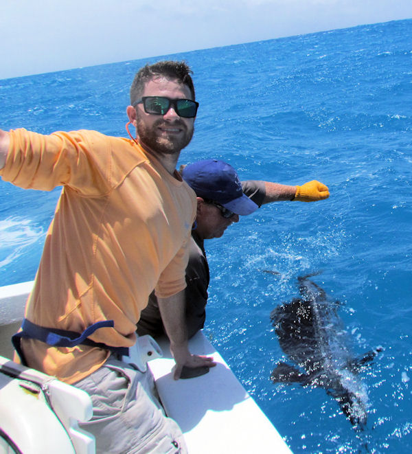Sailfish caught and released in Key West fishing on Key West charter fishing boat Southbound