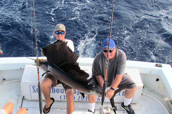 Sailfish caught in Key West fishing on Key West charter fishing boat Southbound