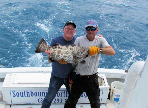 Black Grouper Caught and Released in Key West fishing on charter boat Southbound