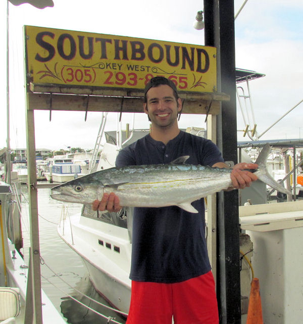 16 lb Cero Mackerel caught in Key West fishing on charter boat Southbound