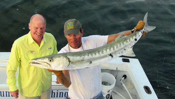 Big Barracuda caught and released fishing in Key West on charter boat Southbound