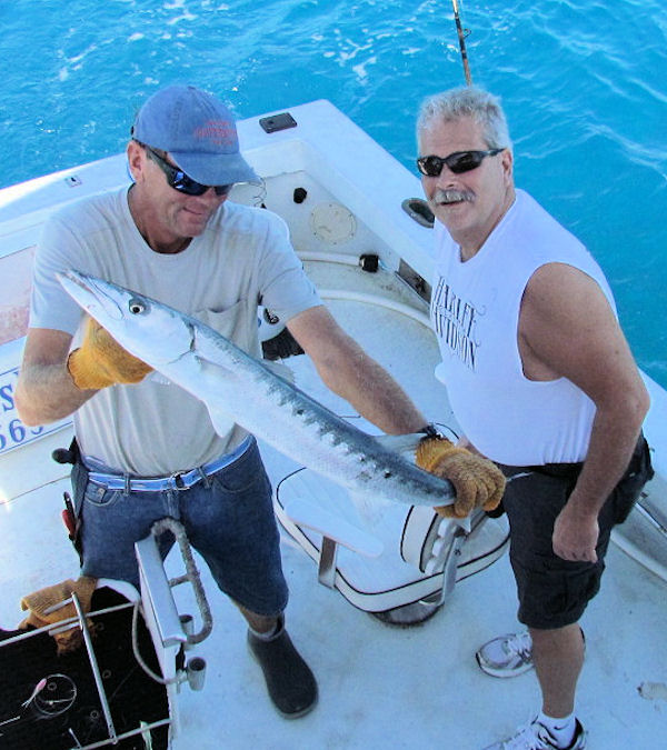 Barracuda caught in Key West Fishing on Charter Boat Southboun