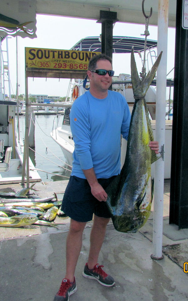 31lb Bull dolphin caugth in Key West fishing on charter boat southbound