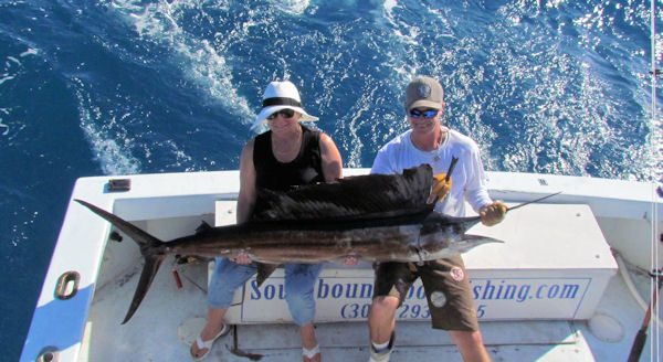 Sailfish caugth and released in Key West fishing on charter boat Southbound