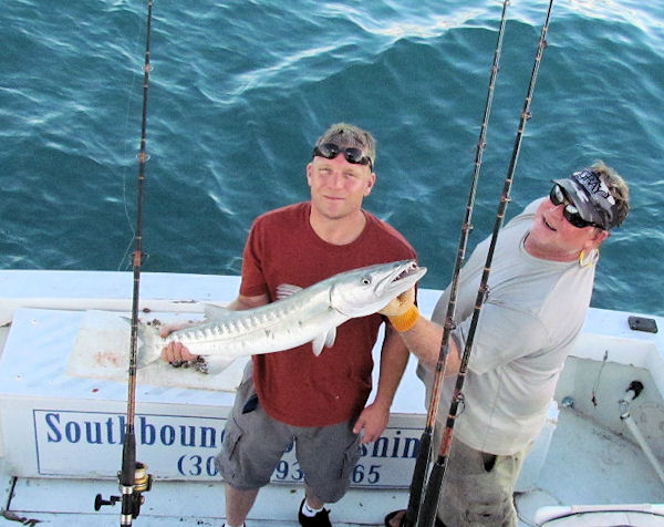 Barracuda caught and released in Key West fishing on Charte boat Southbound