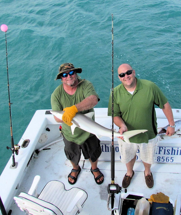 Shark caught fishing Key West on Charter boat Southbound