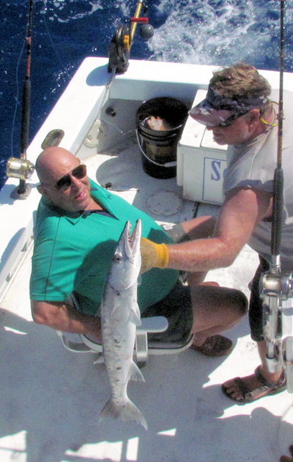 Big barracuda caught and released in Key West fishing on charter boat Stouthbound